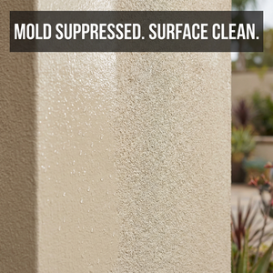 Revestimiento Impermeabilizante Antimoho para Paredes Exteriores, Revestimiento de Prevención de Moho, Prevención de Hongos - Product Image 3