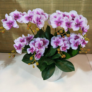 Film-bertekstur dua cabang <span class=keywords><strong>Mini</strong></span> <span class=keywords><strong>Phalaenopsis</strong></span>, bunga buatan pernikahan, dekorasi rumah sentuhan lembab - Product Image 1