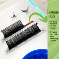 Cils individuels en cachemire noir mat classique coréen en fibre PBT faits à la main 0.03 0.05 0.07 0.10 Faux cils naturels d'extensions