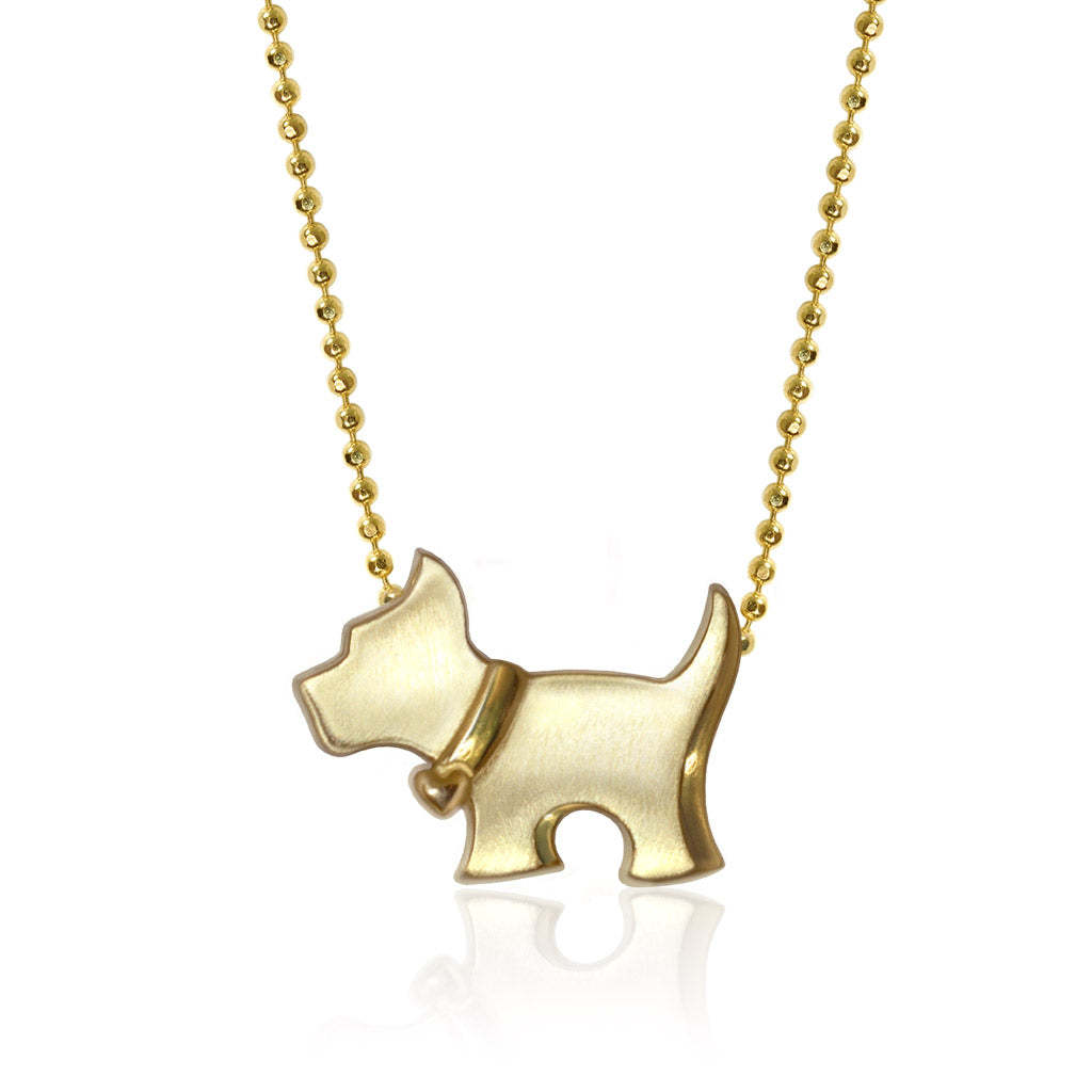 Terrier escocés-dorado