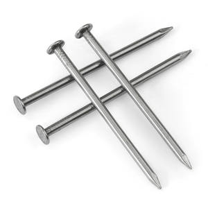 Harga Pabrik Paku Baja Galvanis 2-Inci, Sekrup Seng 1-6 Inci, Kepala Ganda, Berulir, Cincin, Halus, Spiral, dan Berpaku - Product Image 2