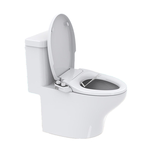 Asiento de inodoro mecánico no eléctrico con bidé y rociador de agua limpia, diseño moderno <span class=keywords><strong>Everclean</strong></span> TB005-O-C OEM y ODM - Product Image 2