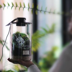 Aksesori akuarium desain seni penjualan laris dekorasi kantor Pot kaca botol lanskap mikro lampu akuarium akuarium - Product Image 3