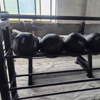 Support mural multifonctionnel réglable en hauteur à 4 niveaux pour rangement de balles de fitness, usage commercial