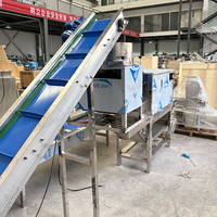 Machine professionnelle d'éplucheur d'ail et d'oignon de haute efficacité