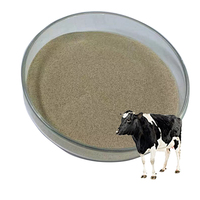 Poudre de Bacillus Subtilis Sp. K18 Funmicro, souches non biotechnologiques, probiotique pour volailles, qualité alimentaire animale