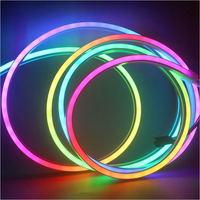 Bande lumineuse flexible en silicone RGB DC5V 160 LED/m 10W/m IP67 étanche pour la décoration paysagère extérieure