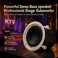 Haut-parleur de plafond professionnel pour subwoofer 10 pouces/100V/8 ohms/480W, coque ABS, grille en fer thermolaquée pour audio commercial intérieur KTV