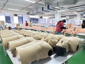 Endotracheal Đặt nội khí quản mô hình cho một nửa cơ thể PVC manikin cho khoa học y tế đào tạo giải phẫu mô hình xương cho các trường học bệnh viện - Product Image 3