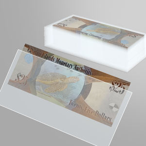 100 pochettes fines en PET sans acide, transparentes, pour la protection des billets de banque de grande taille - Product Image 1