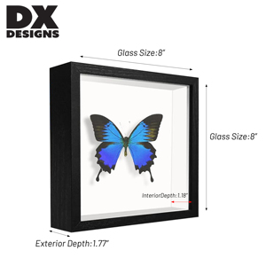 מסגרות תצוגה מעץ תלת מימד עם זכוכית של DX Designs Wholesale בגדלים 8x8, 8x10, 10x10, 12x12 אינץ' ו-A4 - עומק 3 ס\\\"מ ו-5 ס\\\"מ - Product Image 3