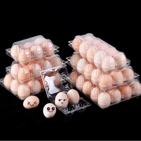 4 Trous PET Jetable Clamshell Transparent PET Plastic Blister Egg Tray for Egg Storage Plastic Egg Packaging Container