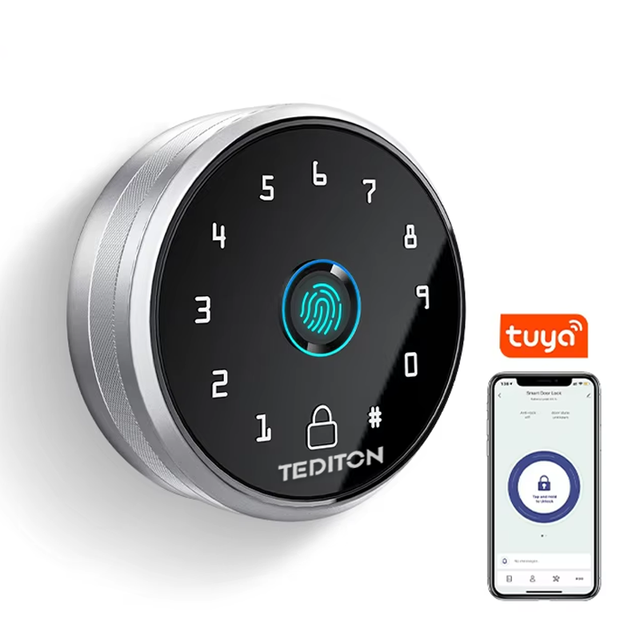 Wholesale Price TTlock and Tuya Remote Control Security Smart Digital Fingerprint Door Lock Smart Deadbolt Lock