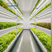 Cámara de Cultivo Climatizada Phytotron con Iluminación Avanzada para Estantes de Cultivo y Diseño de Ahorro Energético - Fabricante
