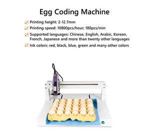 Tốc độ cao Tự động trứng máy in phun gà mái vịt Pigeon trứng mã hóa máy với ngày <span class=keywords><strong>logo</strong></span> dập mực ăn được - Product Image 2