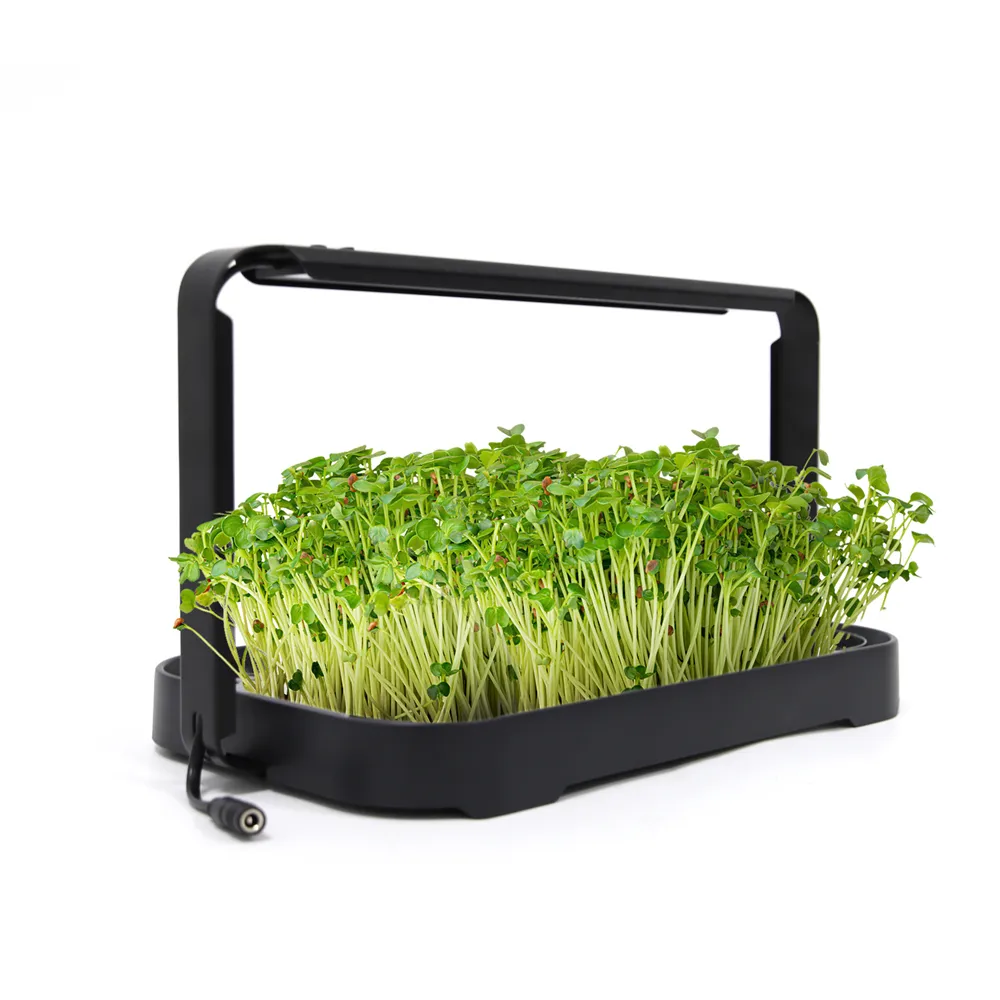 Il piccolo giardino idroponico delle erbe coltivano il Kit di vassoi di Microgreens per interni leggeri per la germinazione delle piante delle piantine di ravanello