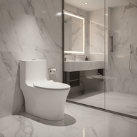 WC monobloc en céramique au design moderne à grand tuyau, double chasse, auto-nettoyant, émaillé, à poser au sol, blanc/ivoire, pour usage hôtelier, siphon en S