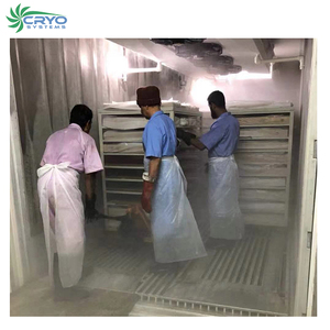 Mobile Blast <span class=keywords><strong>Freezer</strong></span> <span class=keywords><strong>Container</strong></span> <span class=keywords><strong>40</strong></span> Feet Cho Cá Hồi Cá Ngừ - Product Image 1