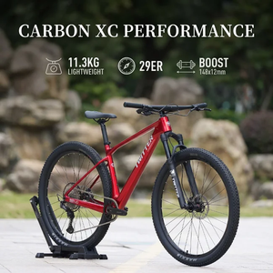 Bicicleta <span class=keywords><strong>de</strong></span> Montaña FLM M9-Elite Carbon XC Race 29er <span class=keywords><strong>de</strong></span> 12 Velocidades, Ligera, 11.3 kg, MAXXIS Hidráulica - Product Image 1