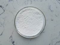 Sodium Cocoyl Isethionate (SCI) CAS 61789-32-0, prix compétitif fourni par l'usine ISO