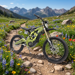 Moto électrique tout-terrain Surron Light Bee X 2025 – 8KW 60V 40Ah – Vélo électrique intelligent pour adultes - Product Image 4