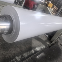 Bâche en PVC de qualité industrielle enduite de couteau pour dôme gonflable et couverture de grand stade sportif
