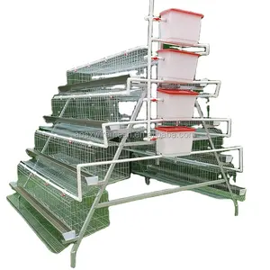 Animal husbandry laying chicken cage with nipple drinker equipment for poultry farm