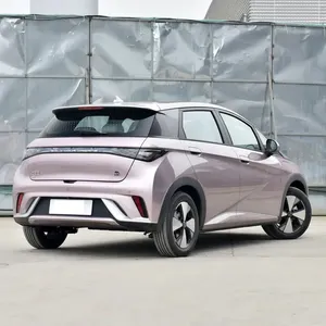 Автомобили Авто 130 кВт модная версия серый парашют 2022 Новый байд Дельфин