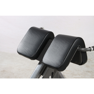 Nouvelle Banc Romaine Nouvelle Arrivée Utilisation Commerciale en Salle de Sport Équipement de Musculation L8049 Banc Romaine pour Utilisation en Salle de Sport - Product Image 4
