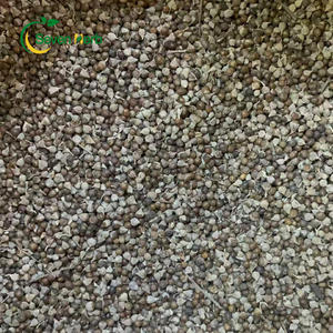 Precio al por mayor, suministro de Vitex Chasteberry Seeds Agnus Castus Seeds - Product Image 2