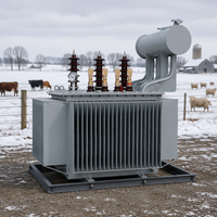 Transformateur auto-traduit triphasé immergé dans l'huile S20 400 kVA, trois enroulements, 50 Hz/60 Hz, pour système de distribution d'énergie agricole