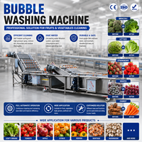 Fruit- en groentewasmachine met bubbelsysteem voor het reinigen van salades, bessen, druiven, paprika's; apparatuur van roestvrij staal voor de voedingsmiddelenindustrie.