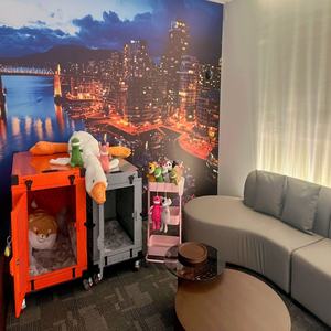 Door De Luchtvaartmaatschappij Goedgekeurde Stapelbare Mooie Vouwkennel Grote Hondenreiskennel Hondenkooifabrikanten - Product Image 1