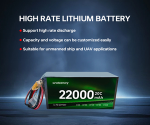 Batterie de drone Offre Spéciale batterie <span class=keywords><strong>Lipo</strong></span> 22000mah 201Wh/kg <span class=keywords><strong>20C</strong></span> batterie à taux de décharge élevé d'usine d'origine - Product Image 3