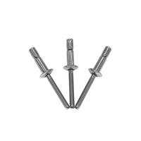 Rivets aveugles en acier inoxydable 304 DIN 7337 Grade 8.8/10.9/12.9 OEM ODM à tête dôme à large rebord 2-22mm – Vente chaude