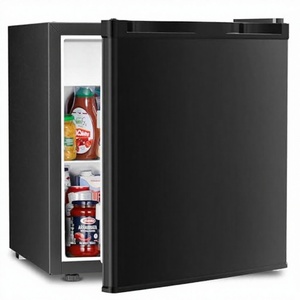 Nouveau réfrigérateur compact électrique de 12 L pour le stockage des soins de la peau et des cosmétiques - Product Image 2