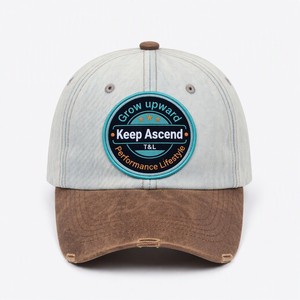 Wholesale T&L Brand Custom Logo Woven Patch 6-Panel Adjustable Cotton Twill <b>Dad</b> <b>Hat</b> - Product Image 2