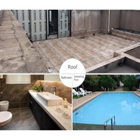 Revêtement imperméable en ciment polymère JS, peinture anti-humidité pour piscines, murs, toits, sous-sols