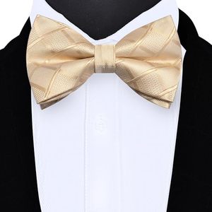 <span class=keywords><strong>Noeud</strong></span> <span class=keywords><strong>papillon</strong></span> à carreaux pour homme, pré-noué, réglable, pour mariage ou soirée - Product Image 5