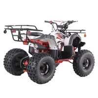 Tao Motor Vente à Chaud Enfants 110cc 125cc Tube en Acier Personnalisé Motos Automatiques 1000cc Polaris Atv Tambour Avant + Tambour Arrière 7 pouces