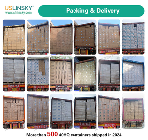 Thượng Hải Linsky Cũ Làm Việc 1Gang 17 Cu Trong Với Side Ngăn Nông Hộp Gắn Tai Và Đu Kẹp APB117-OW - Product Image 5