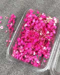 Flores Secas Naturales Mixtas de Baby's Breath, Relleno Floral Prensado para Envolver Regalos, Decoración del Hogar, Manualidades DIY - Product Image 1