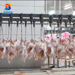 Línea de Sacrificio de Aves de Corral para 1000 Aves, Línea de Sacrificio de Pollos Pequeños - Product Image 3