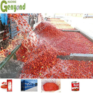 Dây chuyền chế biến cà chua đóng hộp, dây chuyền sản xuất nước sốt cà chua trọn gói, máy móc dây chuyền sản xuất mứt cà chua, dây chuyền sản xuất tương cà chua - Product Image 6