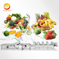 Orme Dragon Fruit Automatische Appelknoflook Aardappel Schone Wasmachine Schil Plak Banaan Wassen En Sorteren Lijn