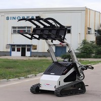 Mini chargeuse compacte sur chenilles chinoises opérations spatiales restreintes avec accessoires service après-vente en ligne