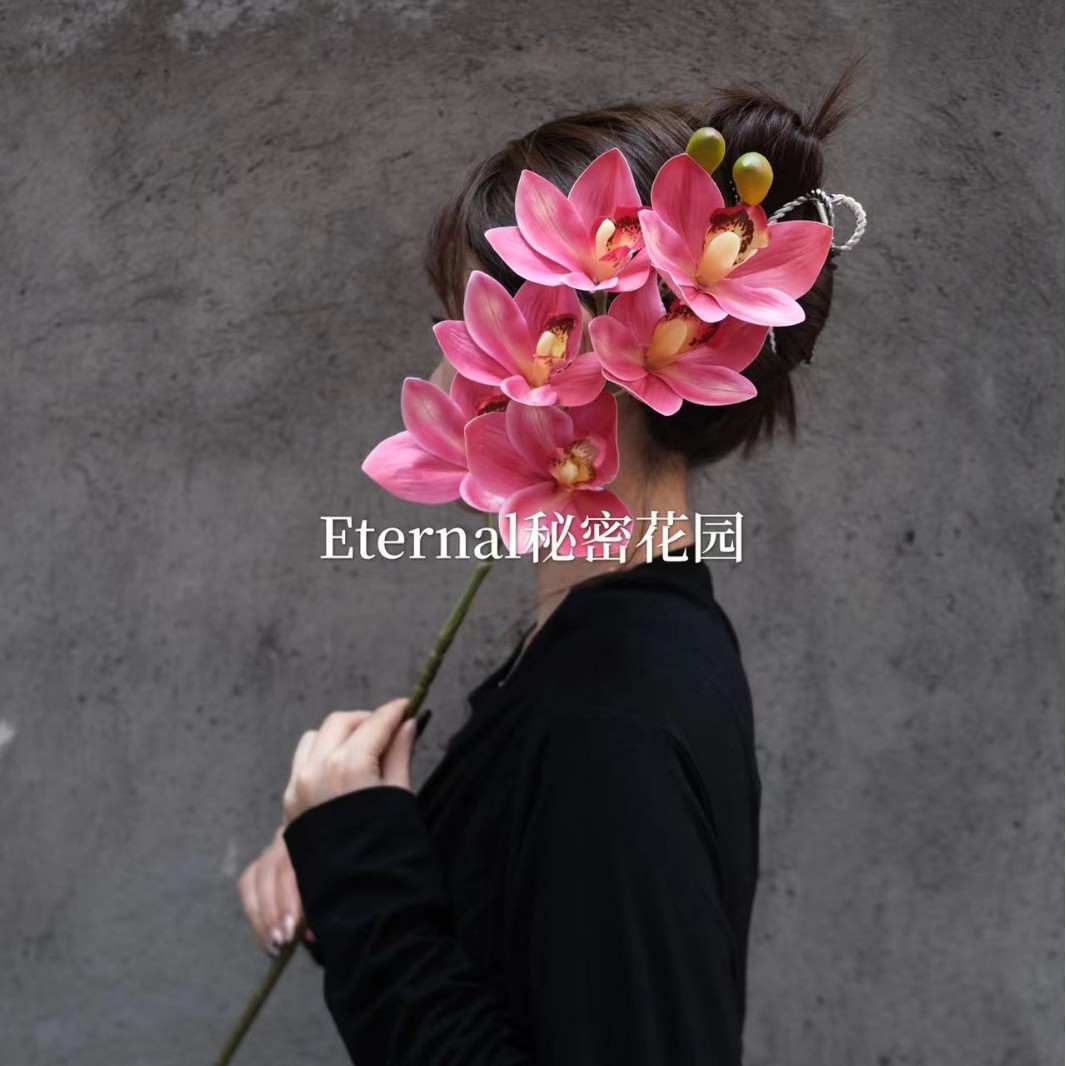 Cymbidium granflorum Rose Rouge
