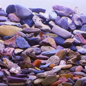 Piedras de Río Naturales, Mixtas, de Forma Irregular, para Decoración de Acuarios y Paisajismo - Product Image 2