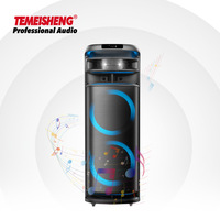 Module d'amplificateur de sonorisation actif rechargeable Temeisheng 300W avec prise en charge de carte mémoire, woofer et lumière disco RVB clignotante