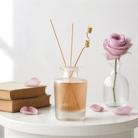 Bouteille en verre vide personnalisée pour diffuseur à bâtonnets, forme unique, 100ml 150ml 200ml, dégradé givré, logo personnalisé pour emballage de parfum